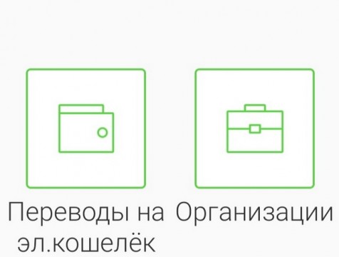 Электронные кошельки граждан будут контролировать