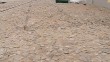 Музей-брусчатка3-0403.jpg
