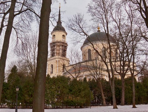 Днем в Калуге воздух прогреется до 15 градусов