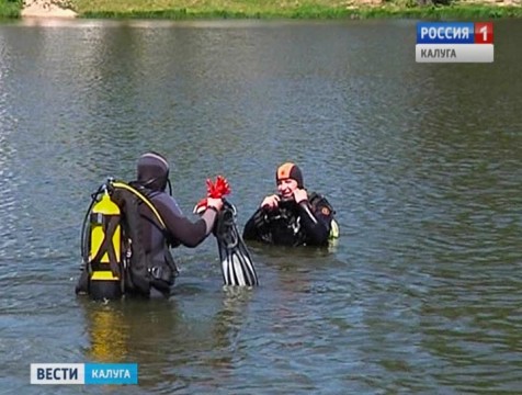 Дайверы очистят Белкинские пруды от мусора