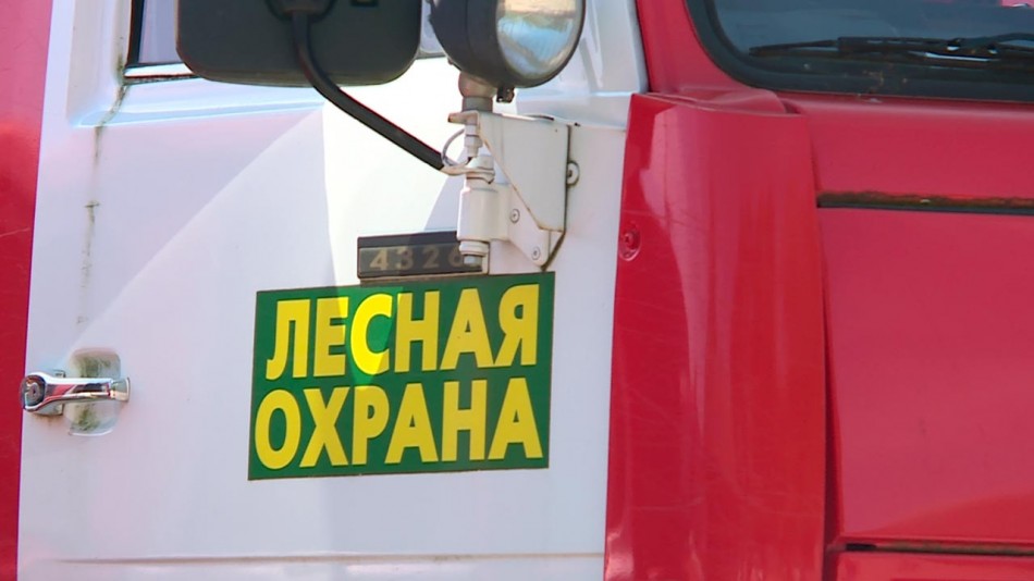 Лесная-охрана-0821.jpg