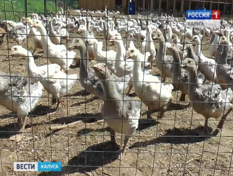 Общественная палата региона представит рекомендации по развитию АПК