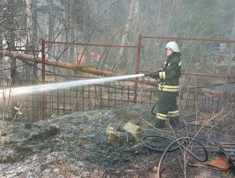Во всех муниципалитетах области введен особый противопожарный режим