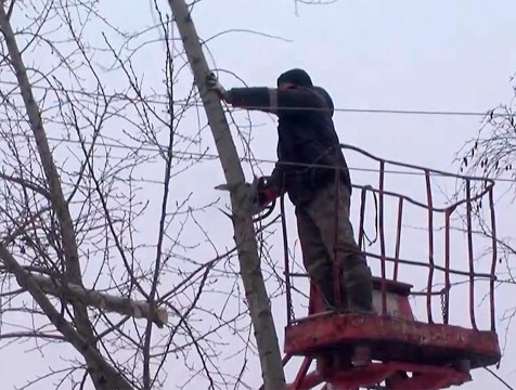 Спасатели предупреждают калужан о сильном ветре
