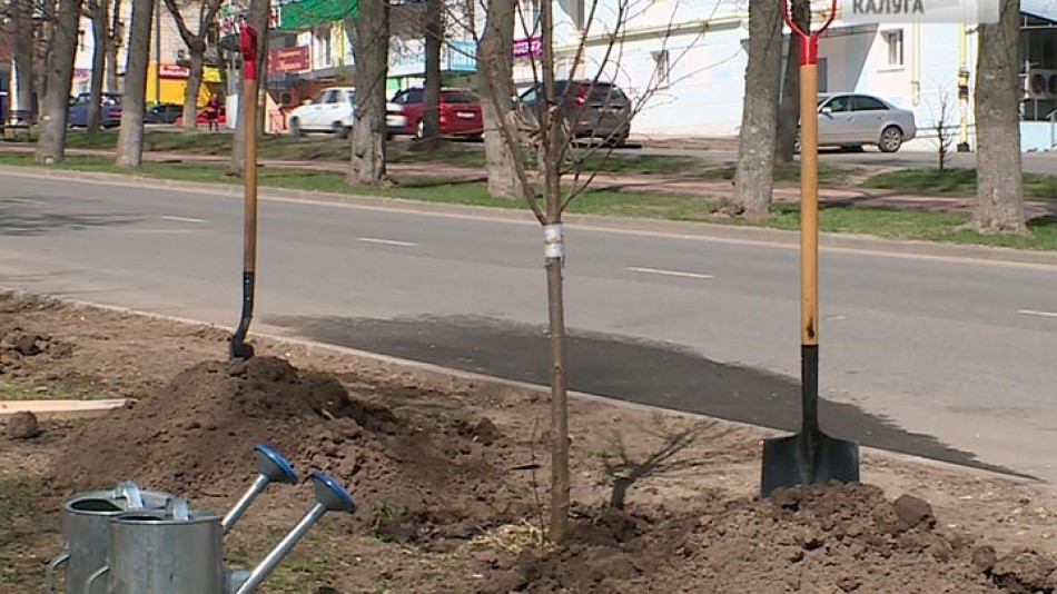 Посадка-деревьев2-0421.jpg