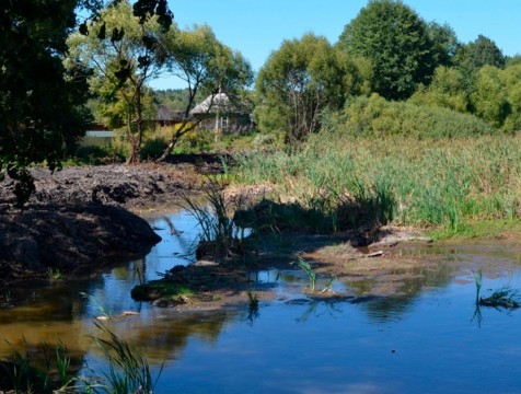 Каскадные пруды на въезде в Людиново продолжают очищать