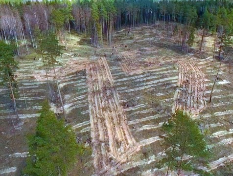 Еще один «Сад Памяти» в регионе посадили недалеко от города Жукова