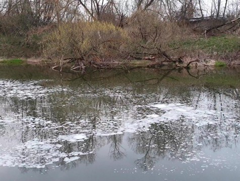 В Протву опять слили неочищенные сточные воды