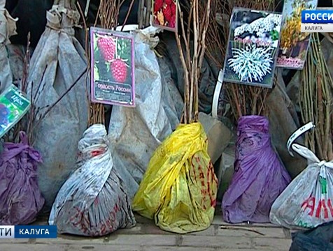 Мастерские по ремонту  и магазины для дачников возобновят работу