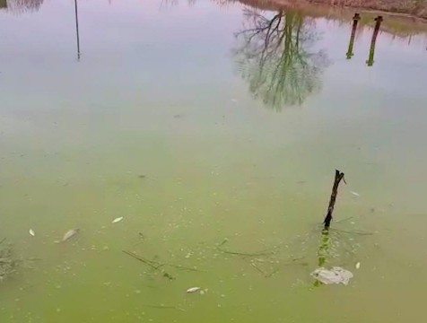 Жители Боровского района сообщили о загрязнении водоемов