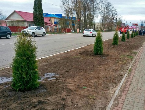 Сухиничи присоединились к акции «Сад памяти»