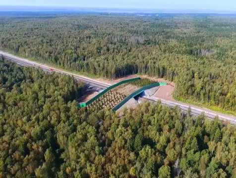 В региональном конкурсе «Природная азбука» победило стихотворение про экодук