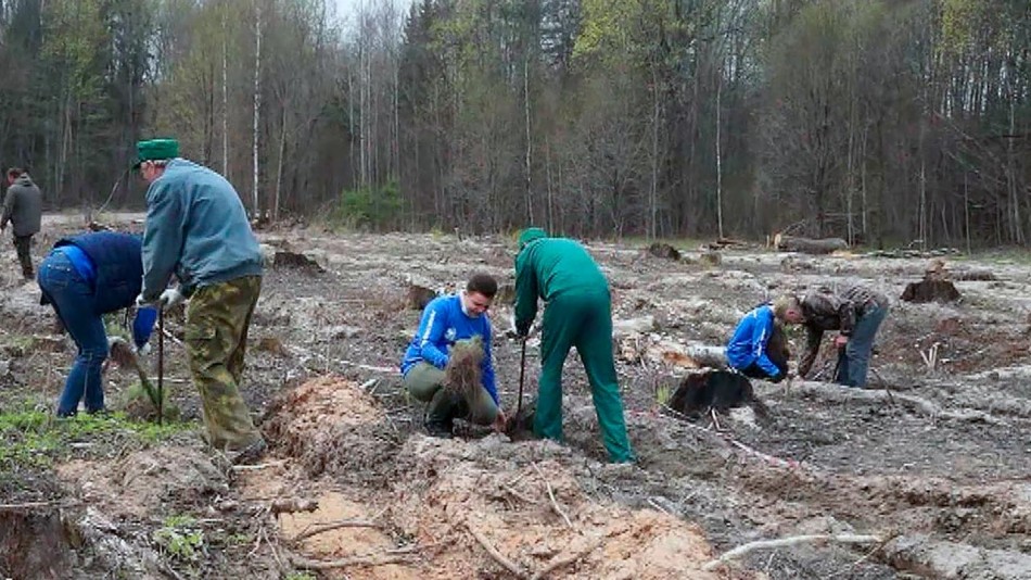 Людиново-Сад-Памяти0503.jpg