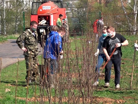Медынцы посадили свой Сад памяти