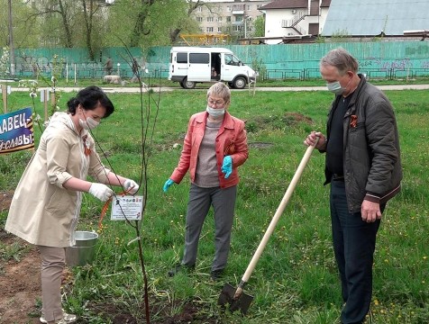 Вишневую аллею высадили в Малоярославце в рамках акции «Сад памяти»