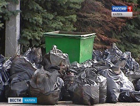 Предприятия, осуществляющие сбор и вывоз мусора, обязали получить лицензии