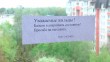 Обвалился-балкон2-0512.jpg