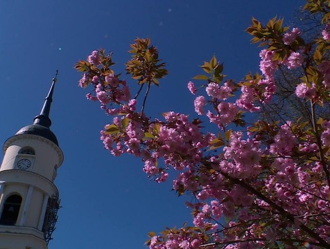 В регион пришла обещанная волна похолодания