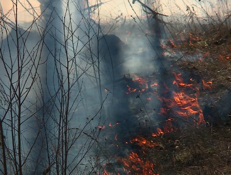 Два района и Калуга второй год стали самыми пожароопасными в регионе