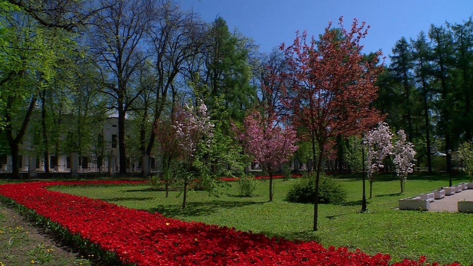 Погода-парк0511.jpg
