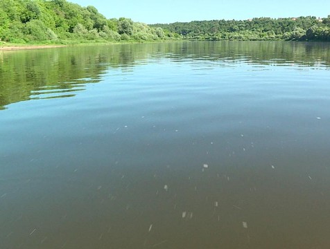 Продлены сроки подачи заявок на конкурс профмастерства среди молодых экологов