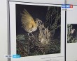 World-Press-Photo4-0608.jpg