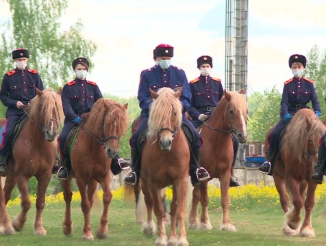 Соблюдение режима контролирует конный патруль