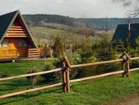 Динамику падения делового потенциала бизнеса изменит снятие ограничений