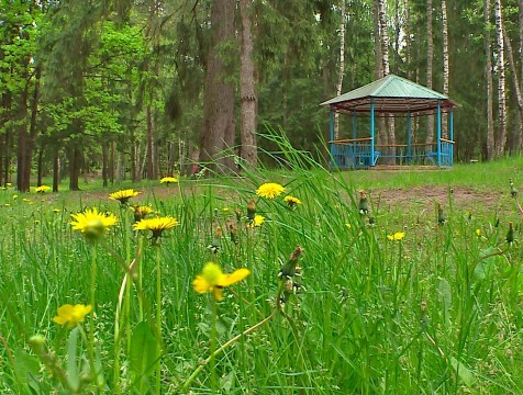 Оздоровительные лагеря откроются на третьем этапе выхода из карантина