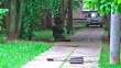 Заминировали-детсад1-0602.jpg