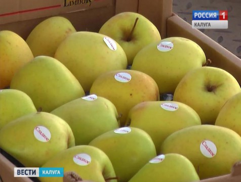 Молдавских фруктов станет больше