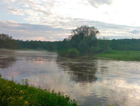 Тело утонувшего в Протве мужчины нашли водолазы