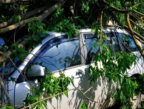 Упавшее дерево повредило автомобиль в Калуге