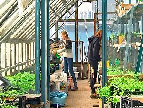 Юннатскому движению исполнилось 102 года