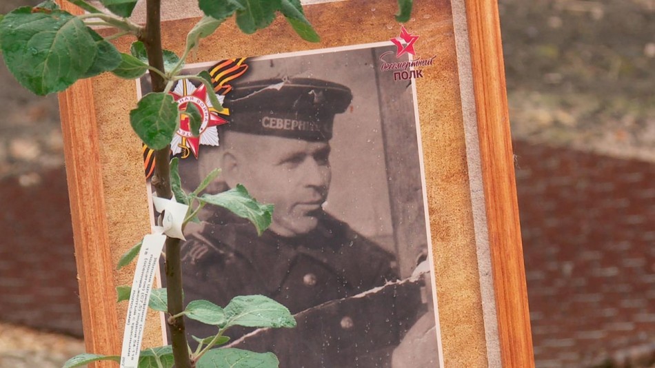 МЧС-сад-памяти1-0615.jpg