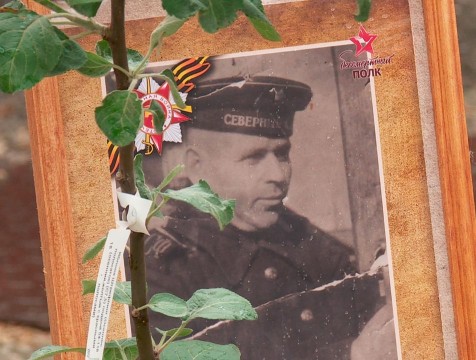 Сотрудники регионального МЧС присоединились к акции «Сад памяти»