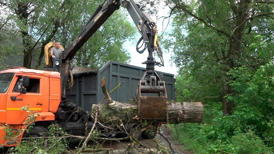 упали-деревья-06-22.jpg
