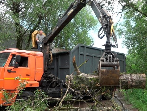 Из-за поваленных во время дождя деревьев в Малоярославце отключилось электричество