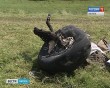 Обломки-самолёта0621.jpg