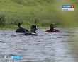 Обломки-самолёта2-0621.jpg