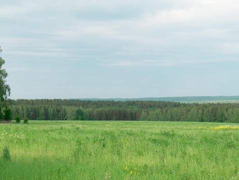 Почти треть из выделенных городом земельных участков поступили в продажу