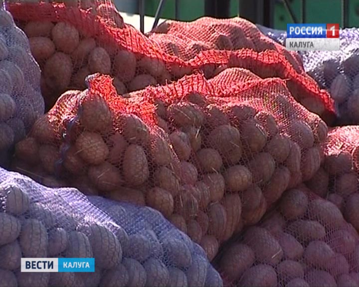 Картофель0624.jpg
