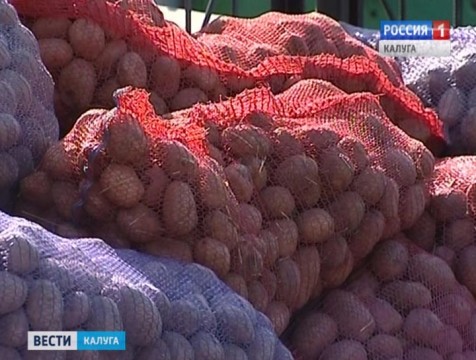 Картофель и лук в регионе подорожали на 7,5%