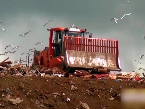 Полигон ТКО в деревне Тимашово будет закрыт с 1 июля