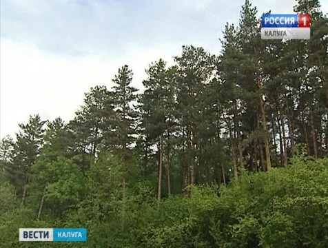 Культурно-исторический парк планируют построить в Юхновском районе