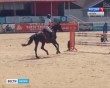 Конный-спорт3-0701.jpg