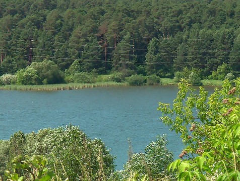 Проект Андреевского водозабора представили разработчики из Санкт-Петербурга