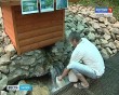 Родник0701.jpg