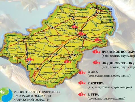 Места успешной рыбалки пометили на карте Калужской области