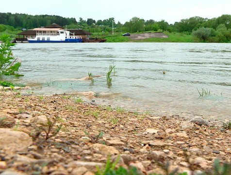 Калужане попросили у городского головы пляж на берегу Оки